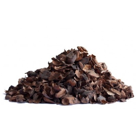 CASCARA DE CACAO - 100 GR