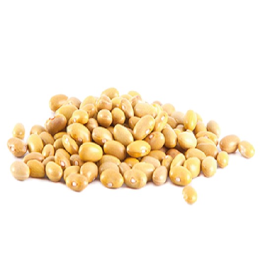 FRIJOL CANARIO - 50 KG
