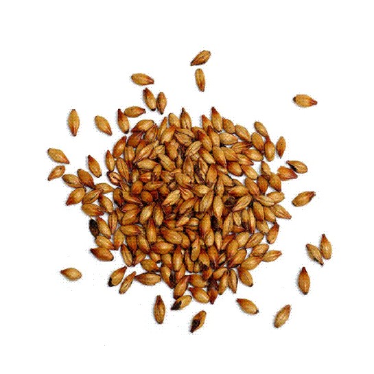CEBADA TOSTADA - 50 KG