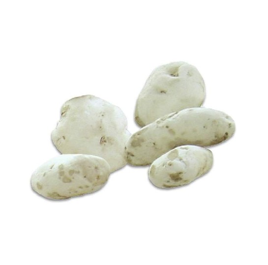 CHUÑO LARGO - 1 KG